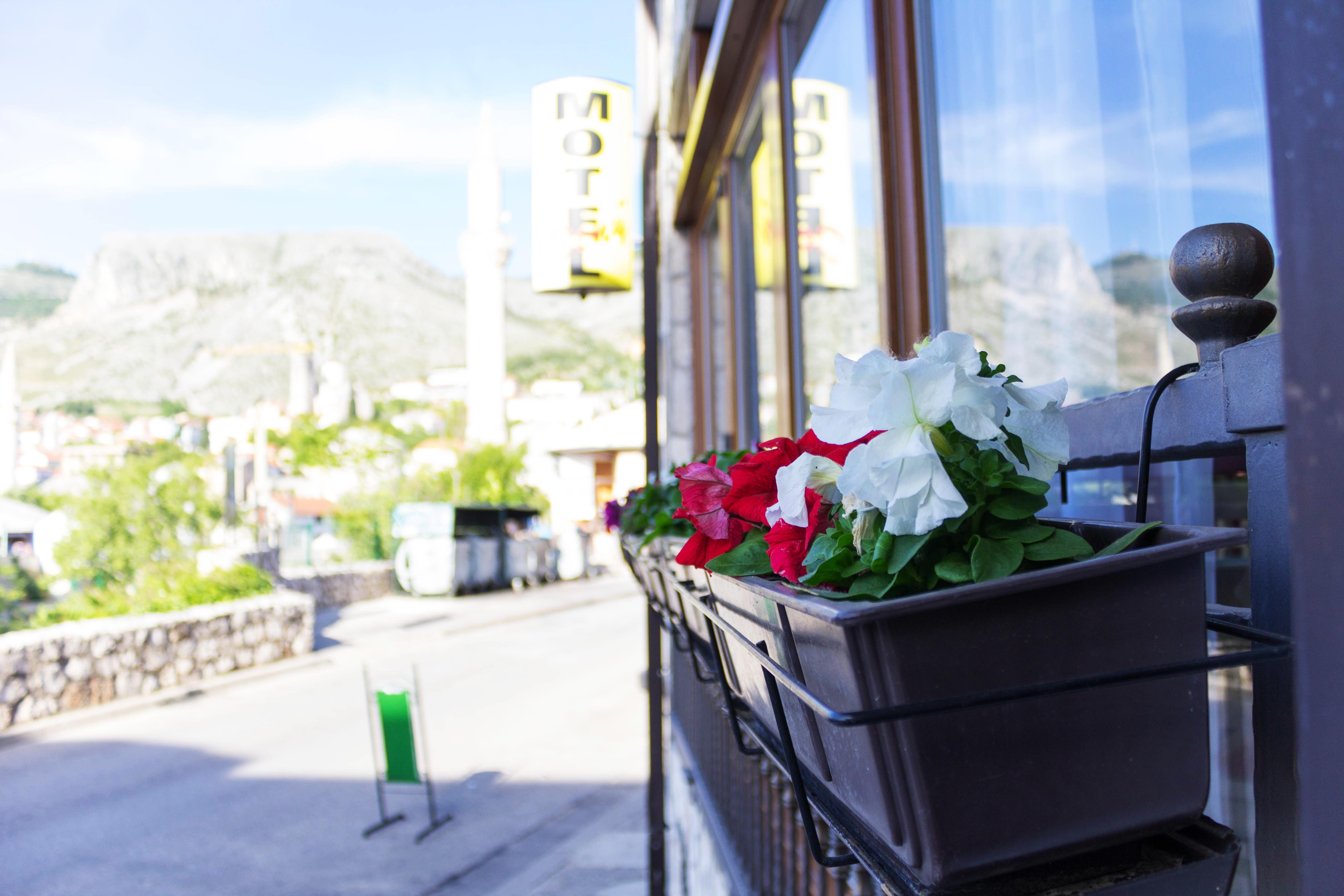 Villa Deny Mostar - With Free Parking Экстерьер фото